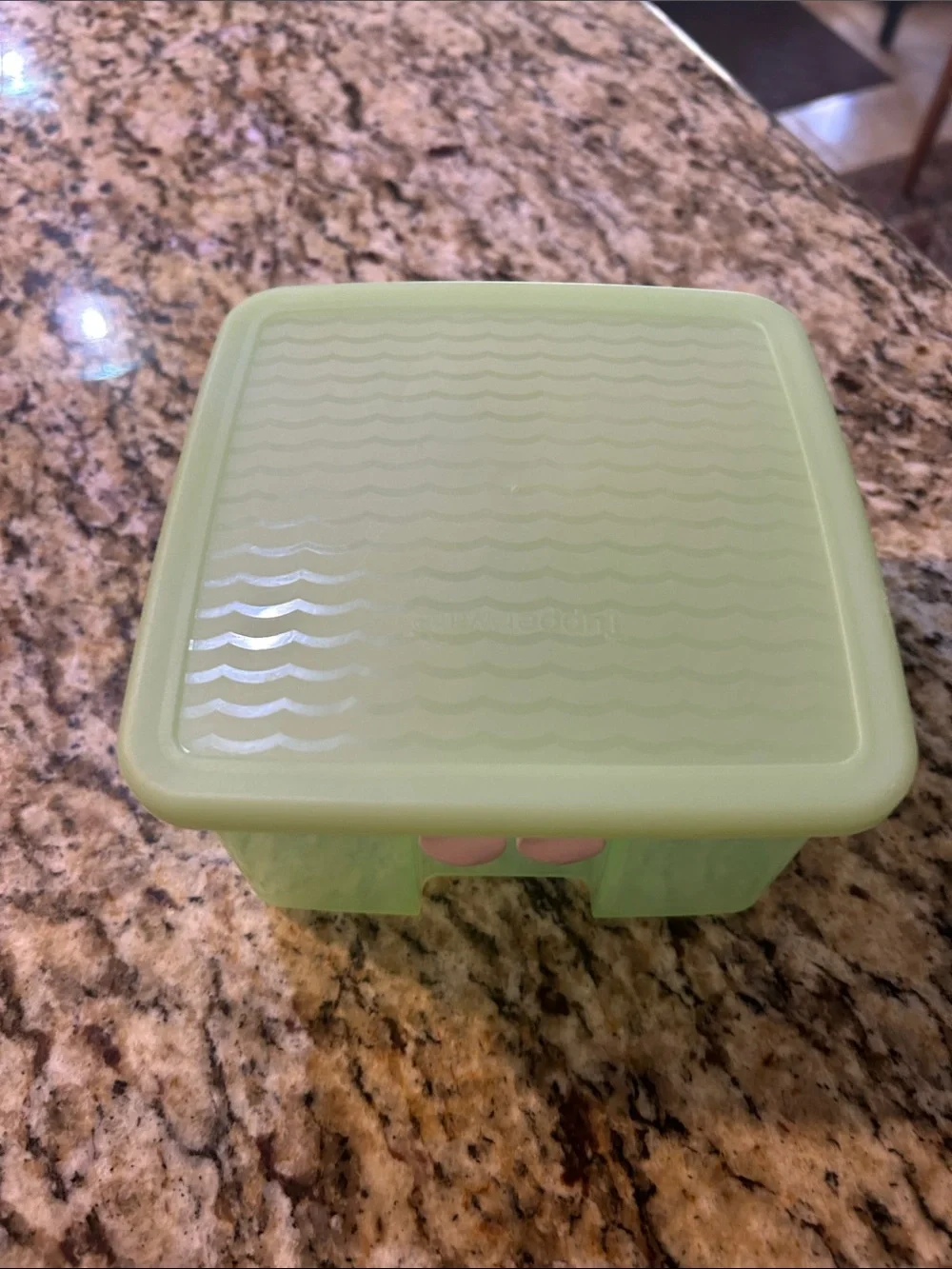 Green Vegetables Food Storage Container with Lid